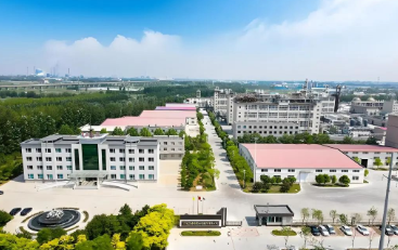 1737009181369997.png image.png